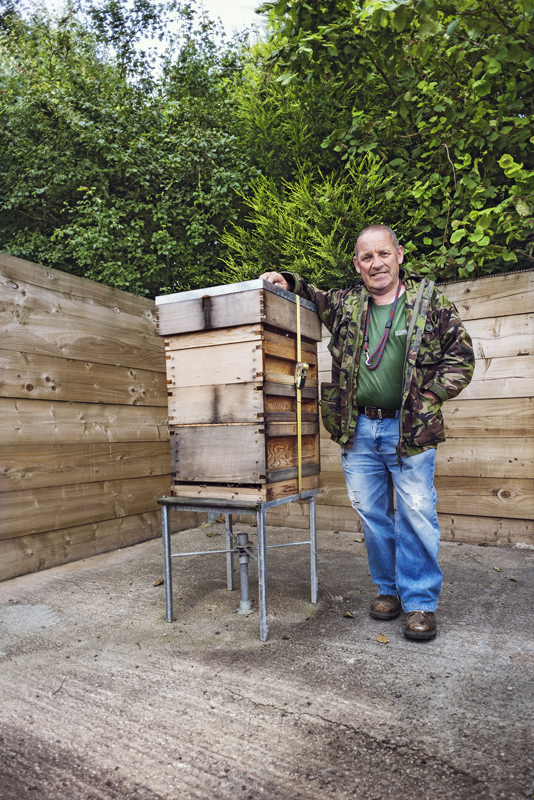 The bees Kersal Allotments